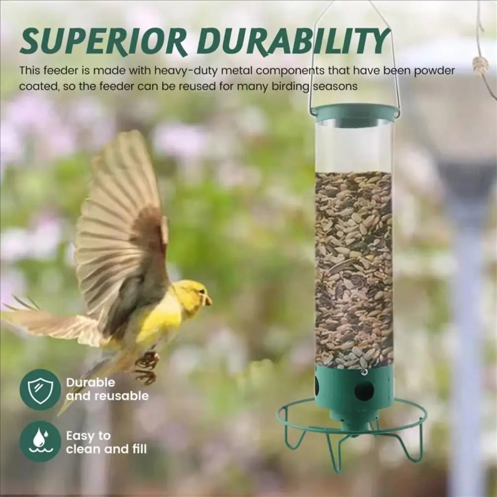 SeedyFeed