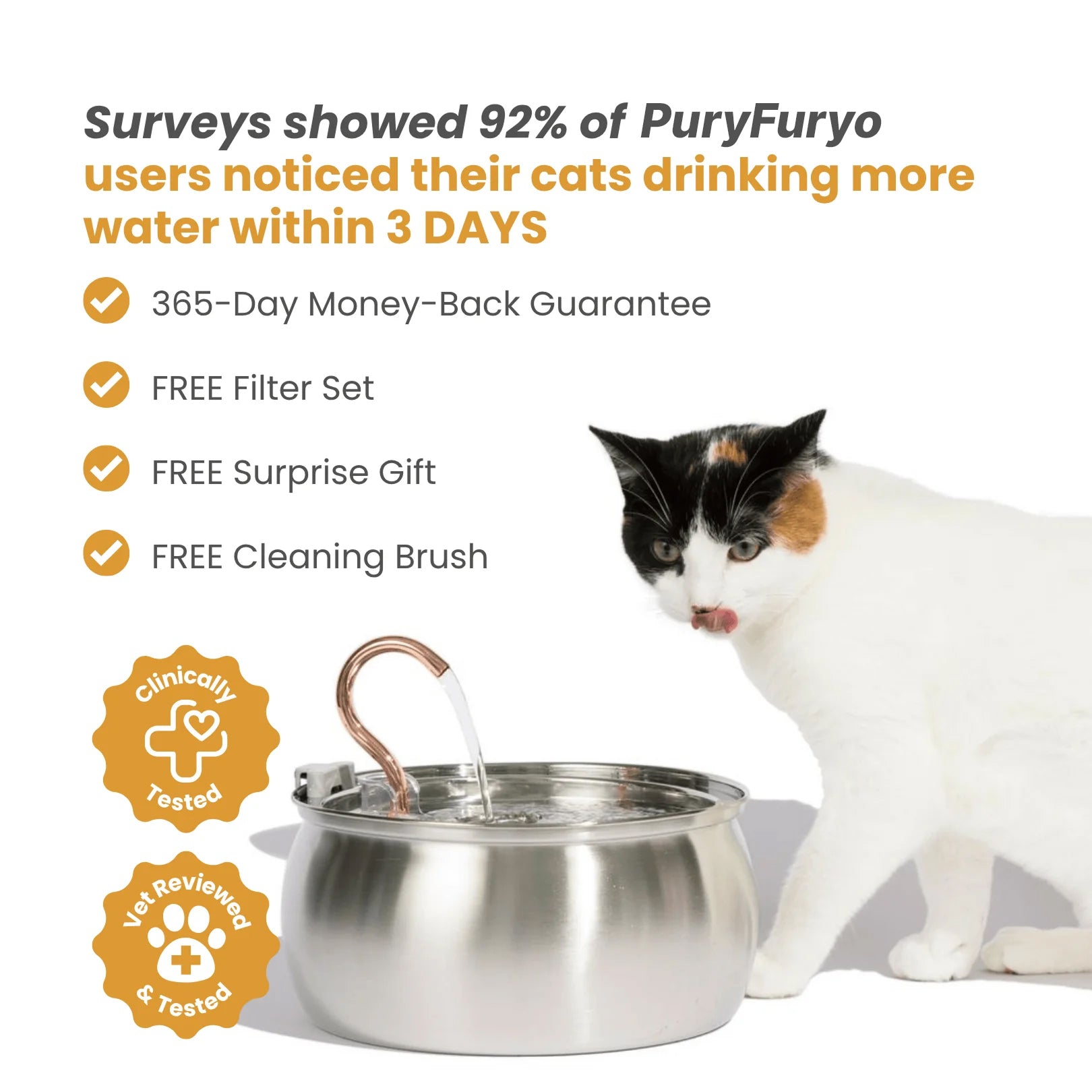 PuryFuryo