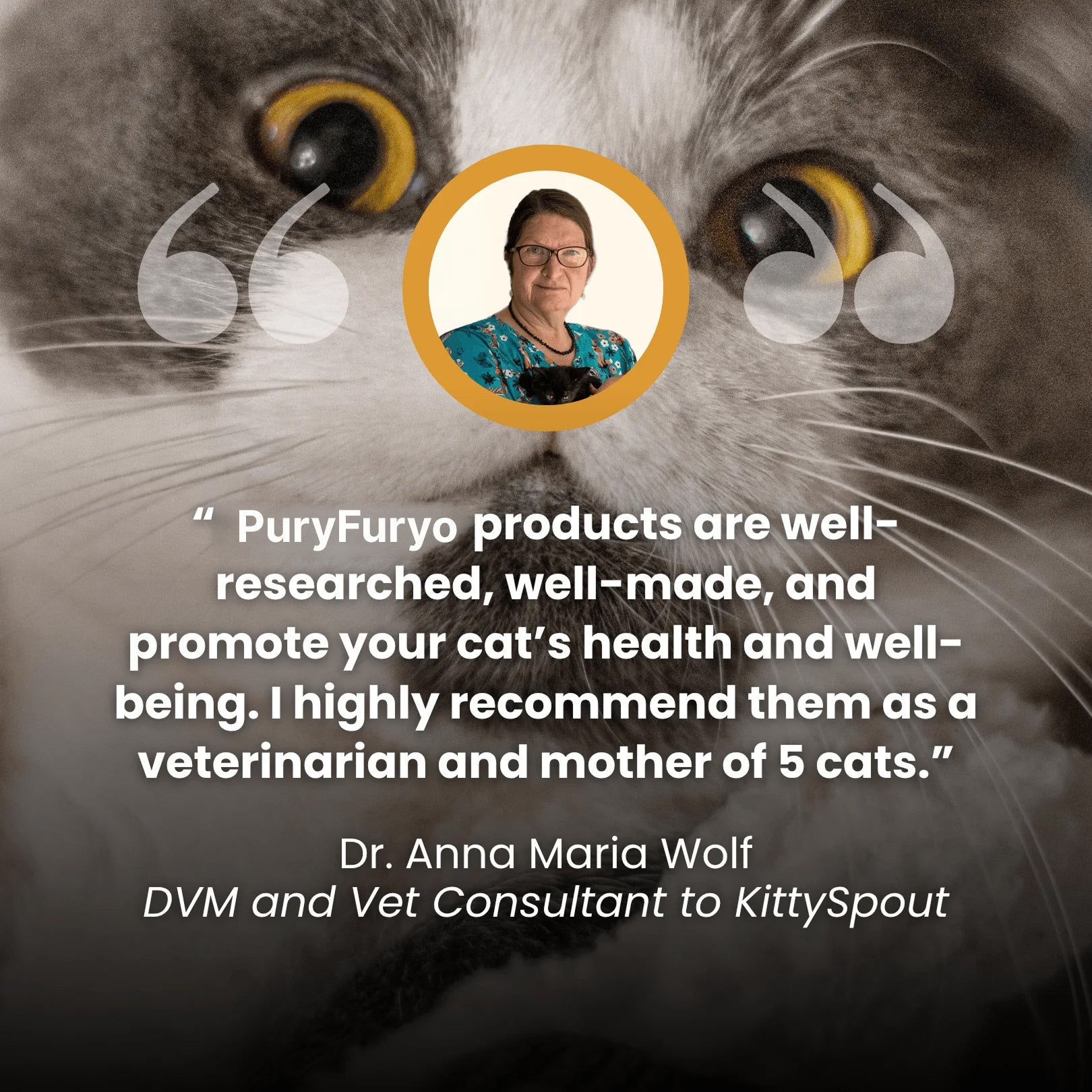 PuryFuryo